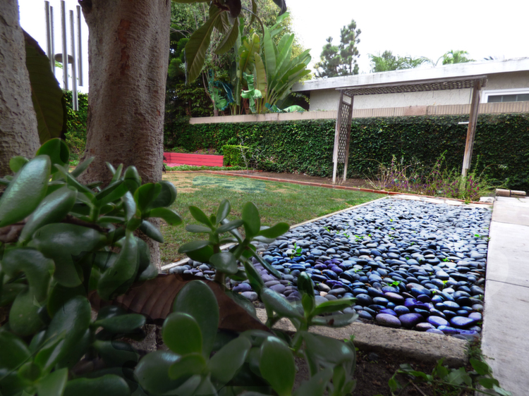 Mens-Residence-Back-Yard